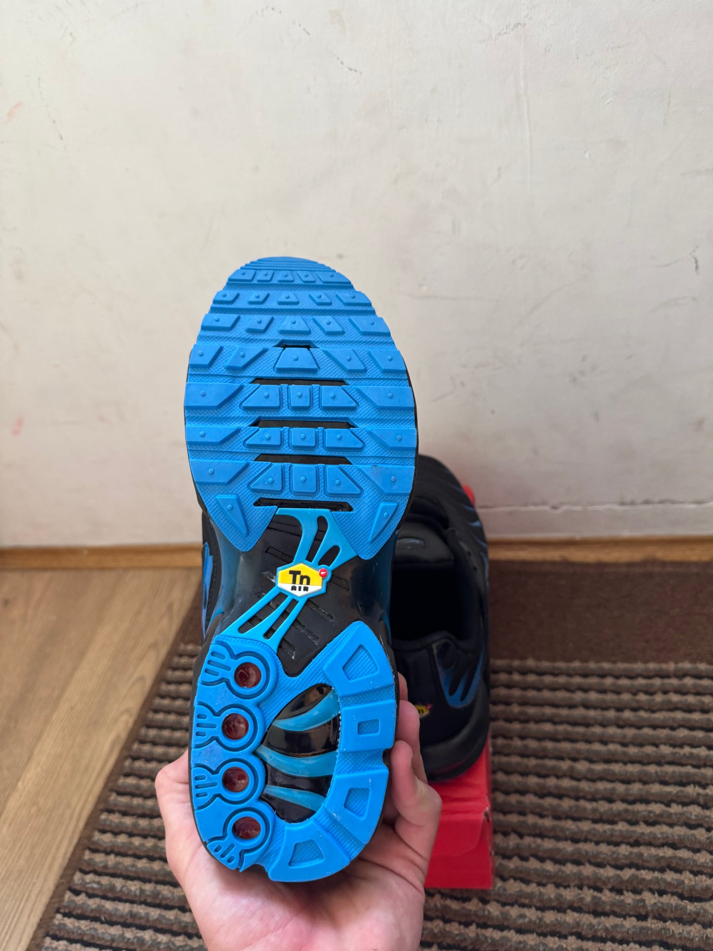 Nike Air max Plus Broj 44(Odmah dostupno)