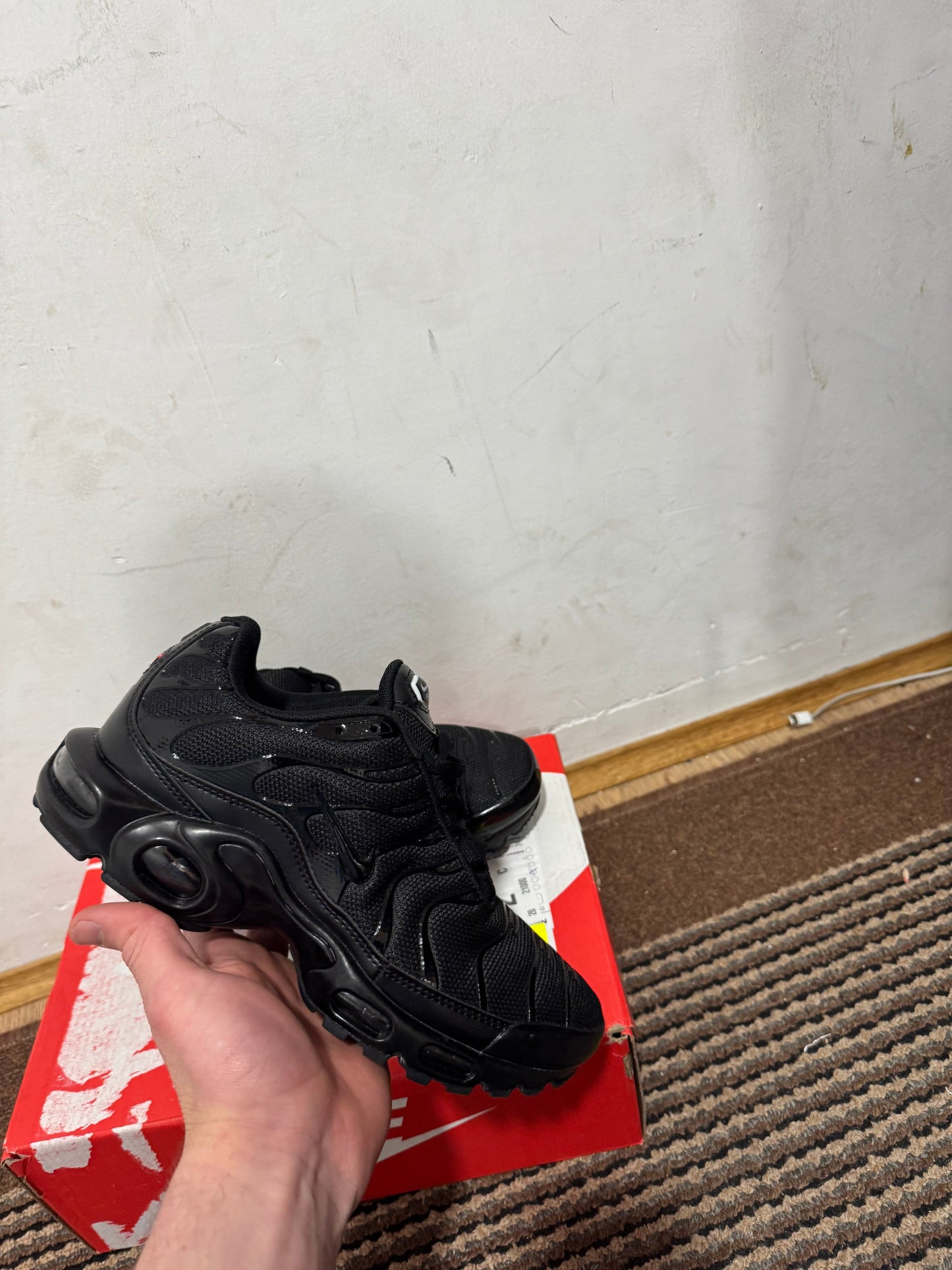Nike Air max Plus Broj 40,44,45(Odmah dostupno)