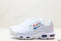 Nike Air Max Plus