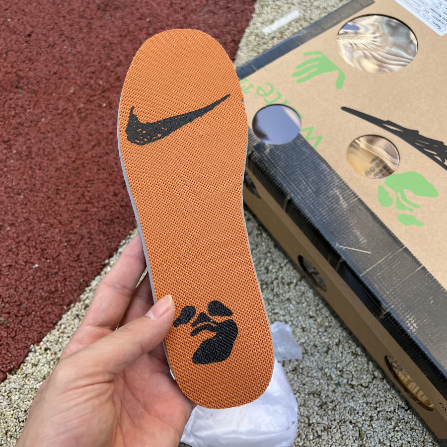 Off white dunk low lot 22