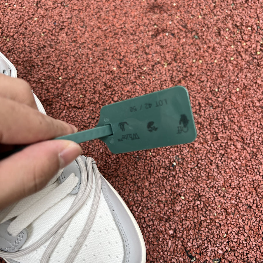 Off white dunk low lot 42