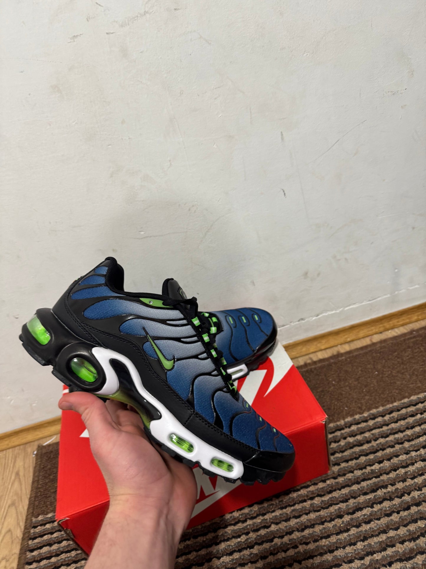 Nike Air max Plus Broj 44(Odmah dostupno)