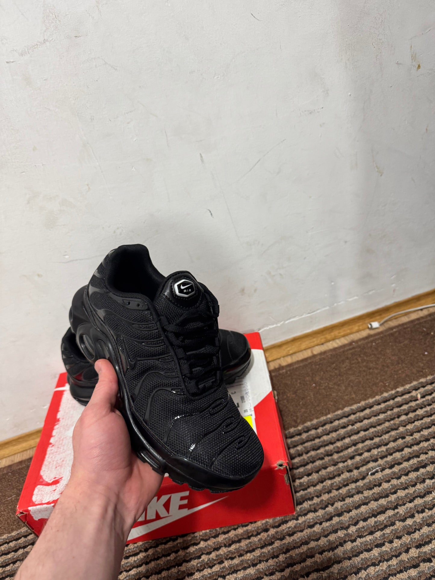 Nike Air max Plus Broj 40,44,45(Odmah dostupno)