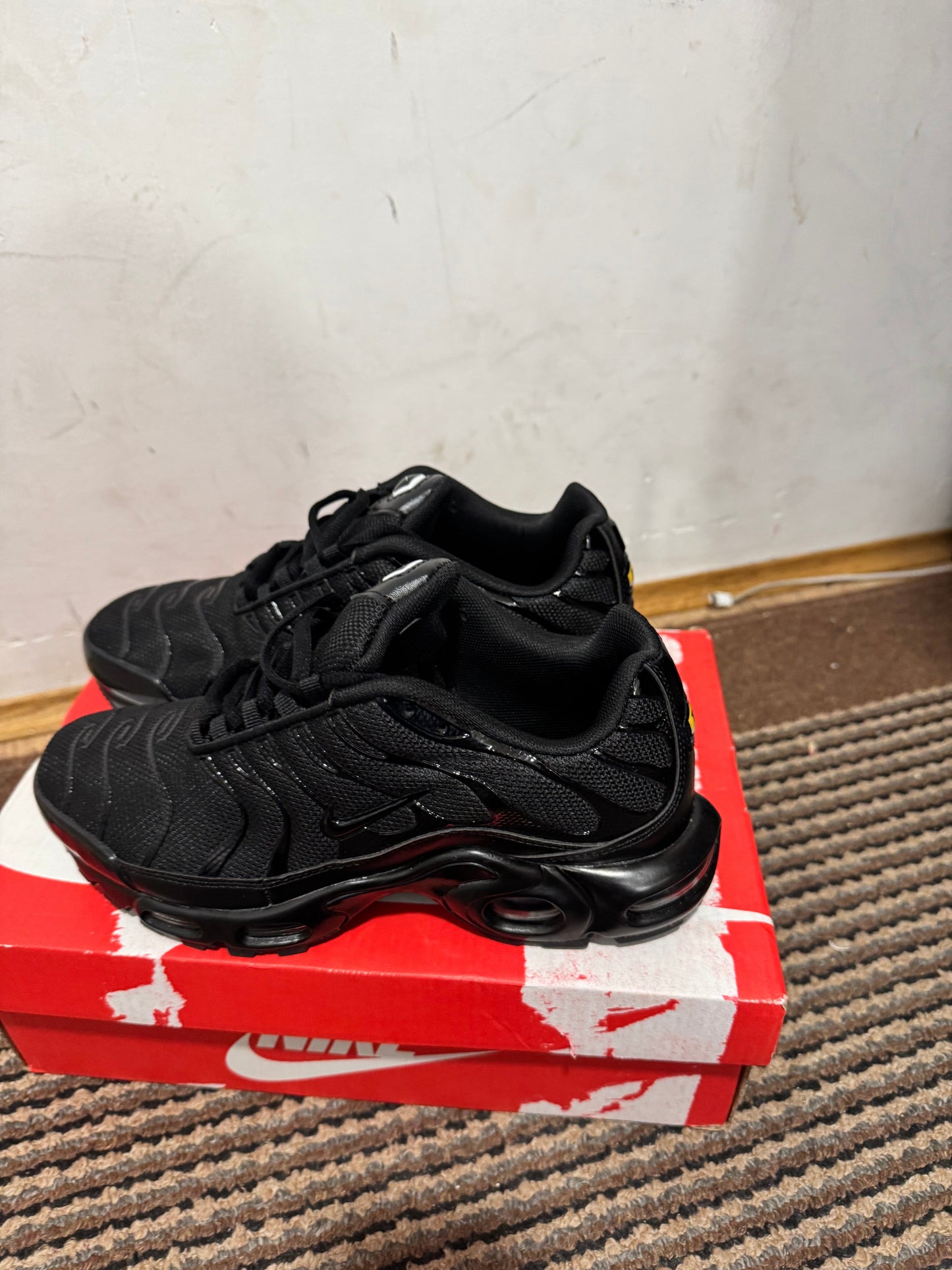 Nike Air max Plus Broj 40,44,45(Odmah dostupno)