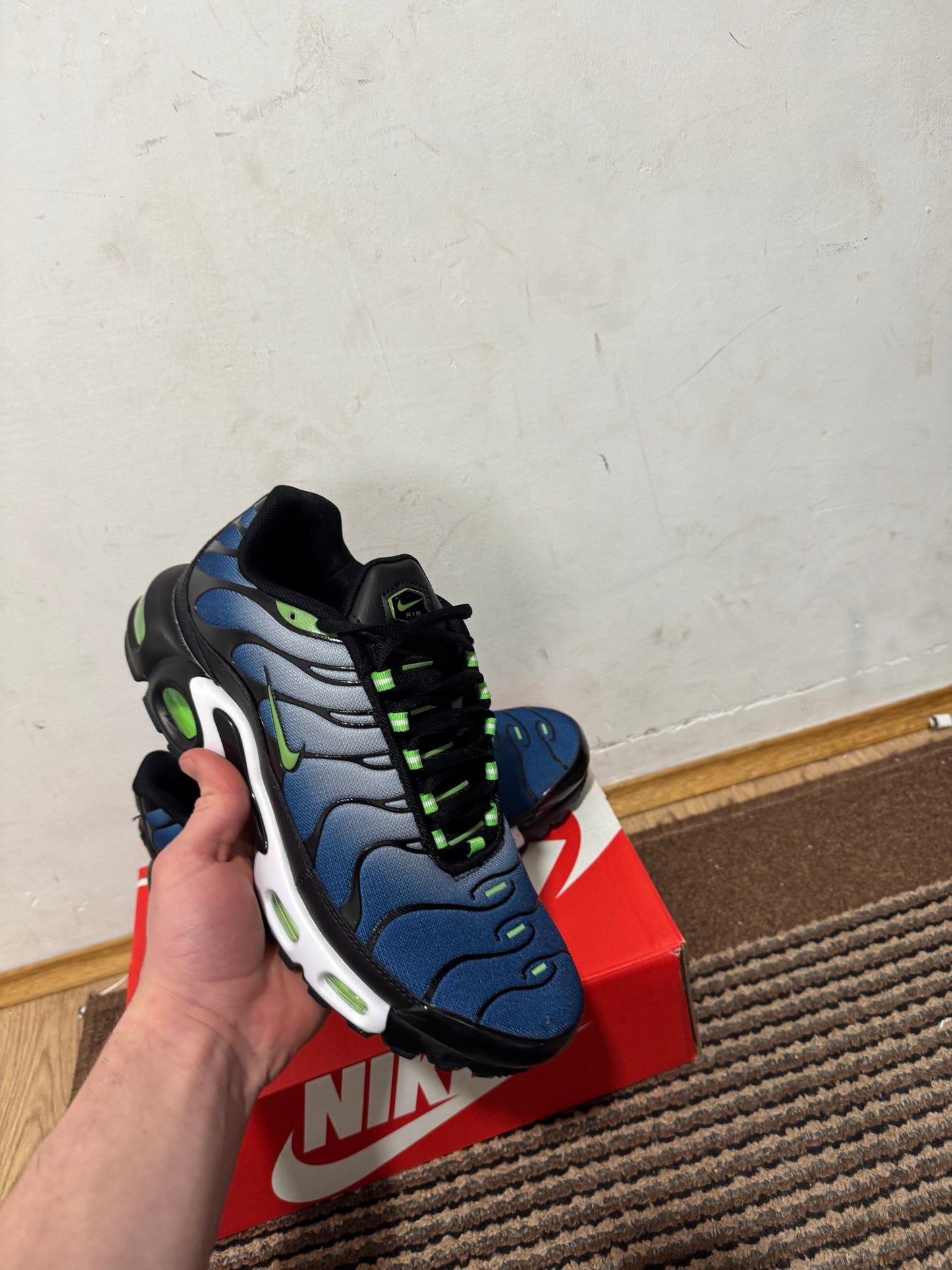Nike Air max Plus Broj 44(Odmah dostupno)