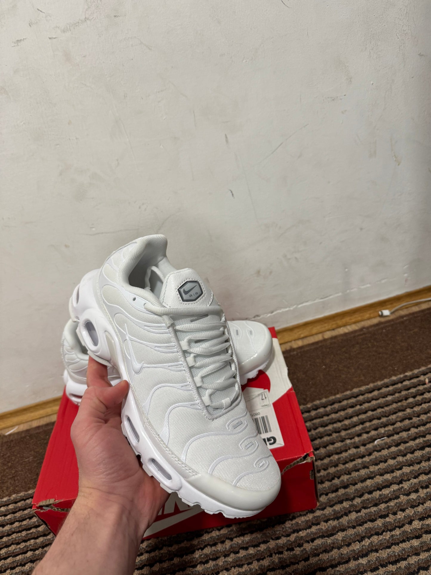 Nike Air max Plus Broj 40(Odmah dostupno)