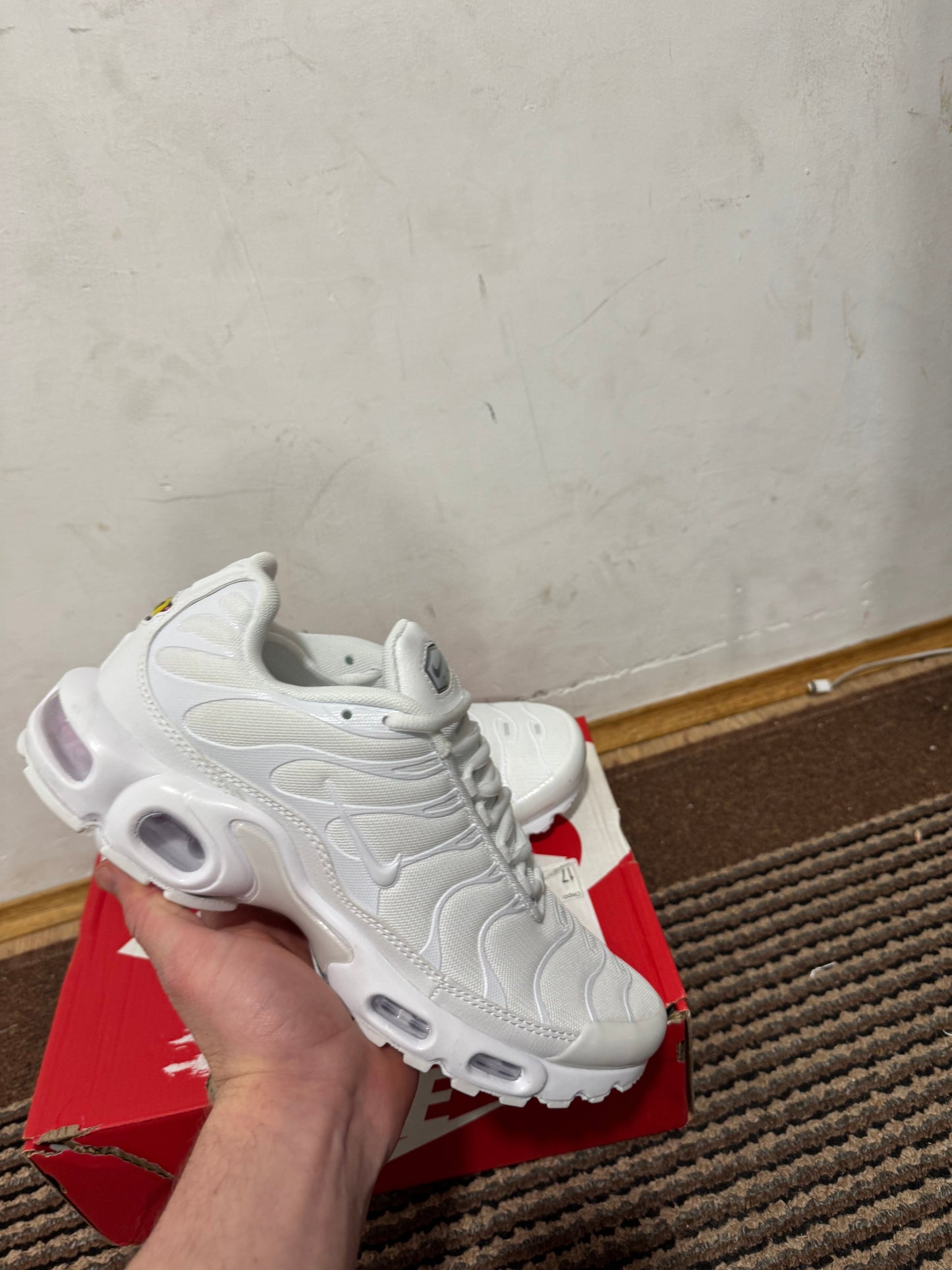 Nike Air max Plus Broj 40(Odmah dostupno)