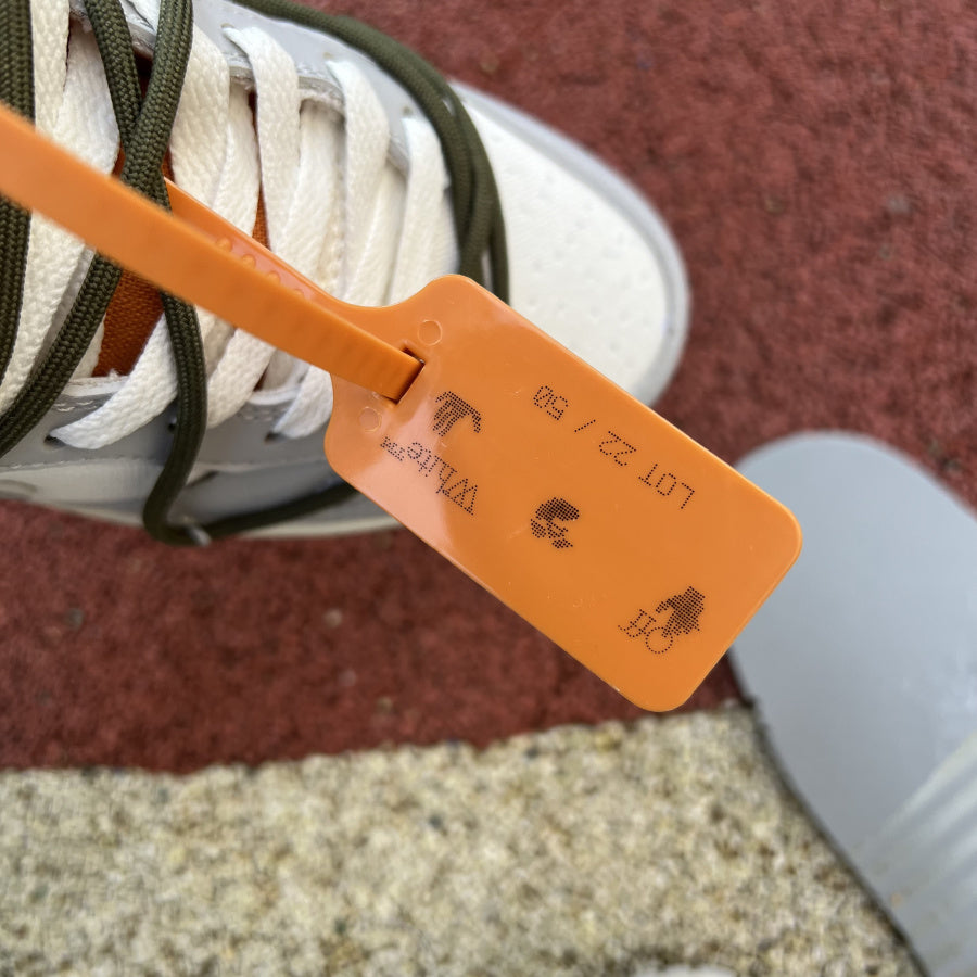 Off white dunk low lot 22
