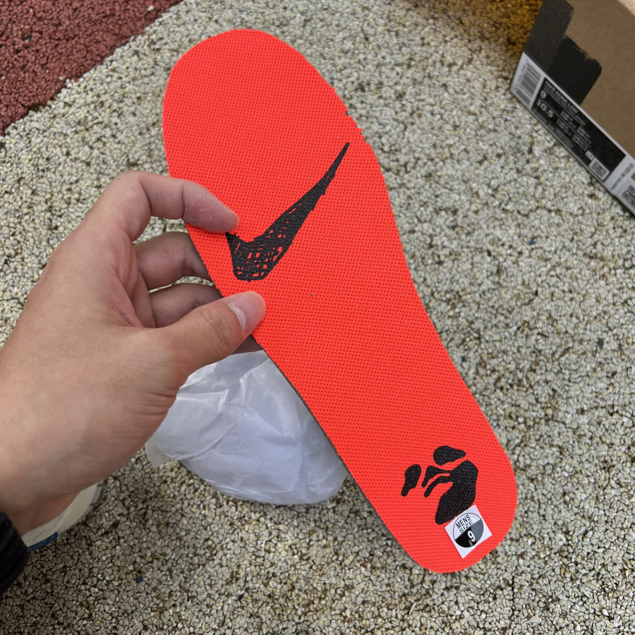Off white dunk low lot 31