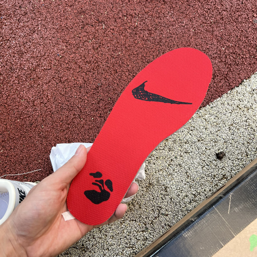 Off white dunk low lot 45